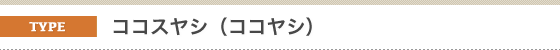 金子造園椰子事業部のヤシの販売対応種類。ヤシと言えば、ココスヤシ。王道スタイルでリゾートの雰囲気を優雅に醸します。