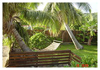 ヤシの販売・施工は金子造園椰子事業部へ！