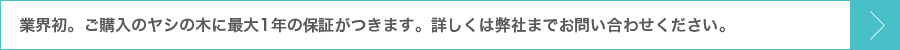業界初。ご購入のヤシの木に最大1年の保証がつきます。詳しくは弊社までお問い合わせください。